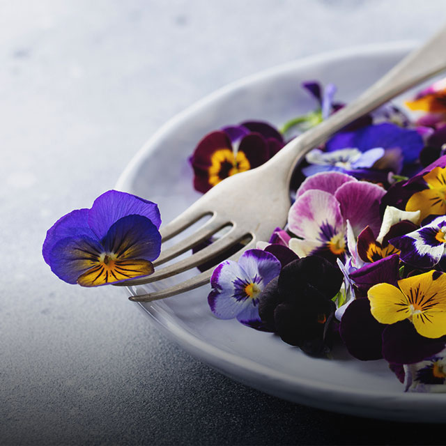 エディブルフラワー